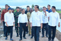 Panglima TNI Dampingi Presiden RI Tinjau Hanpangan Nasional di Merauke, Papua Selatan