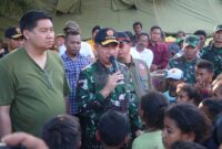 Panglima TNI Tinjau Lokasi Terdampak Erupsi Gunung Lewotobi Laki-Laki di NTT