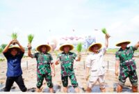 Panglima TNI Dorong Swasembada Pangan Nasional Melalui Bibit Padi Unggul Sinar Mentari