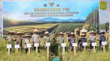 Kejati Kalbar Hadiri Panen Raya Ketahanan Pangan TNI